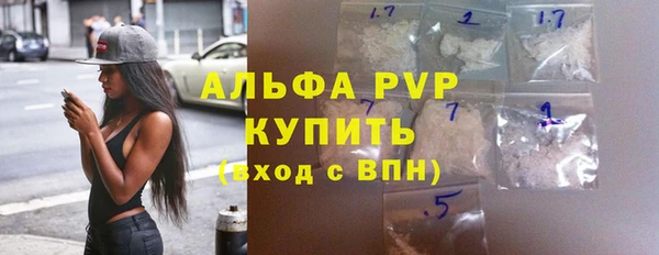 мдпв Гусь-Хрустальный