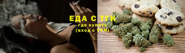 мдпв Гусь-Хрустальный